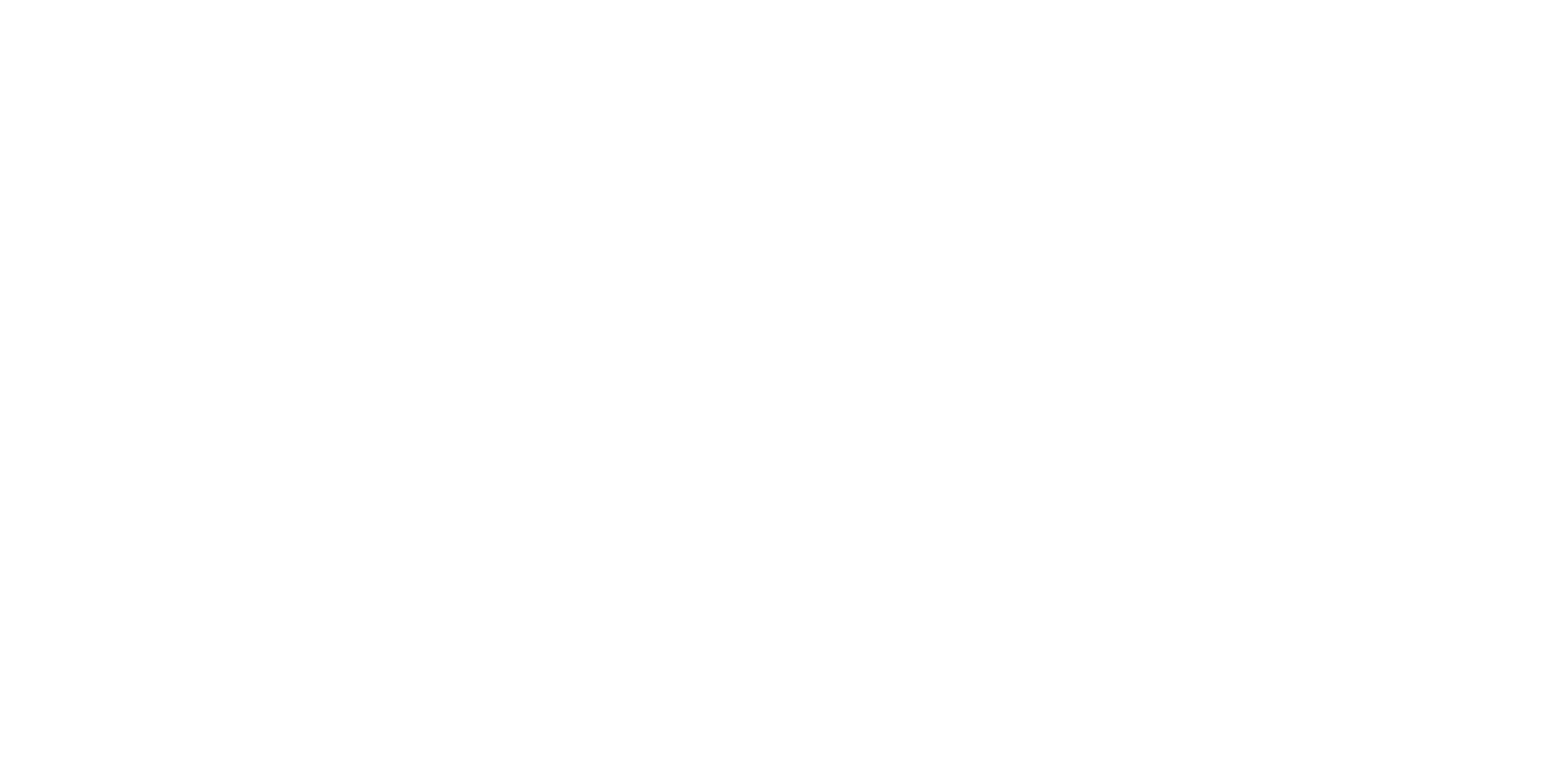nesstion